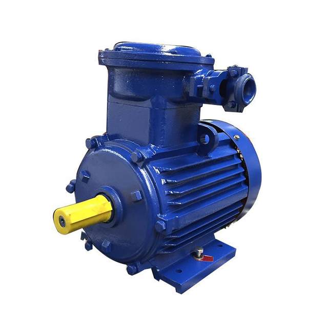 Dust explosion-proof BT4 explosion-proof motor Explosion-proof motor Vertical motor YBX3-80M1-2/0.75KW