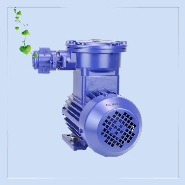 Dust explosion-proof BT4 explosion-proof motor Explosion-proof motor Vertical motor YBX3-80M1-2/0.75KW