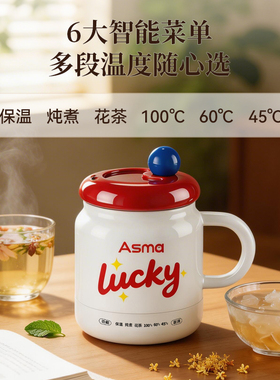 艾仕玛幸运杯电炖杯小型便携烧水