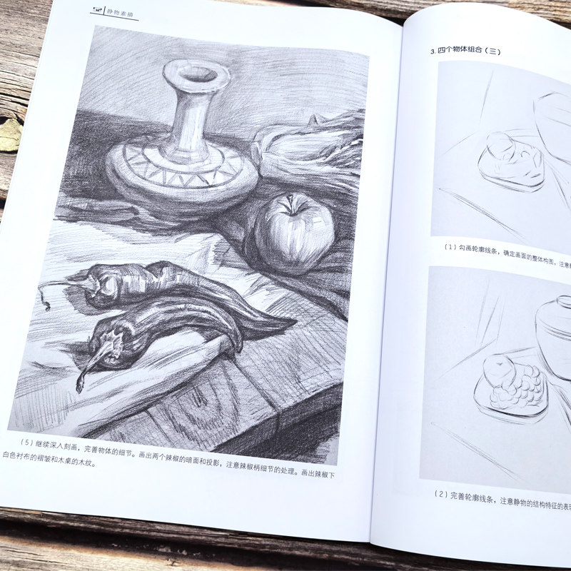 6册 素描入门基础教程 素描头像 静物素描 石膏几何体 色彩静物 人物速写 石膏头像 零基础素描基础入门技法 绘画技法案例步骤详解