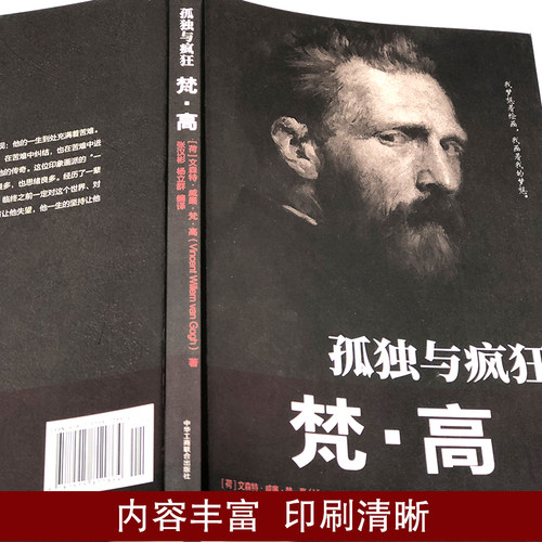 孤独与疯狂梵高传正版 历史人物名人传记书籍 荷兰后印象派画家梵高的一生 讲述梵高人物传记书 初中高中学生青少年课外阅读书籍 - 图1