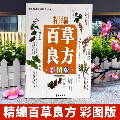 精编百草良方彩图版 常见中草药手册图谱 中草药全图鉴大全书 常见病中成药疗法医药学千家药方精选良方中国土单方老偏方中草药书 - 图0