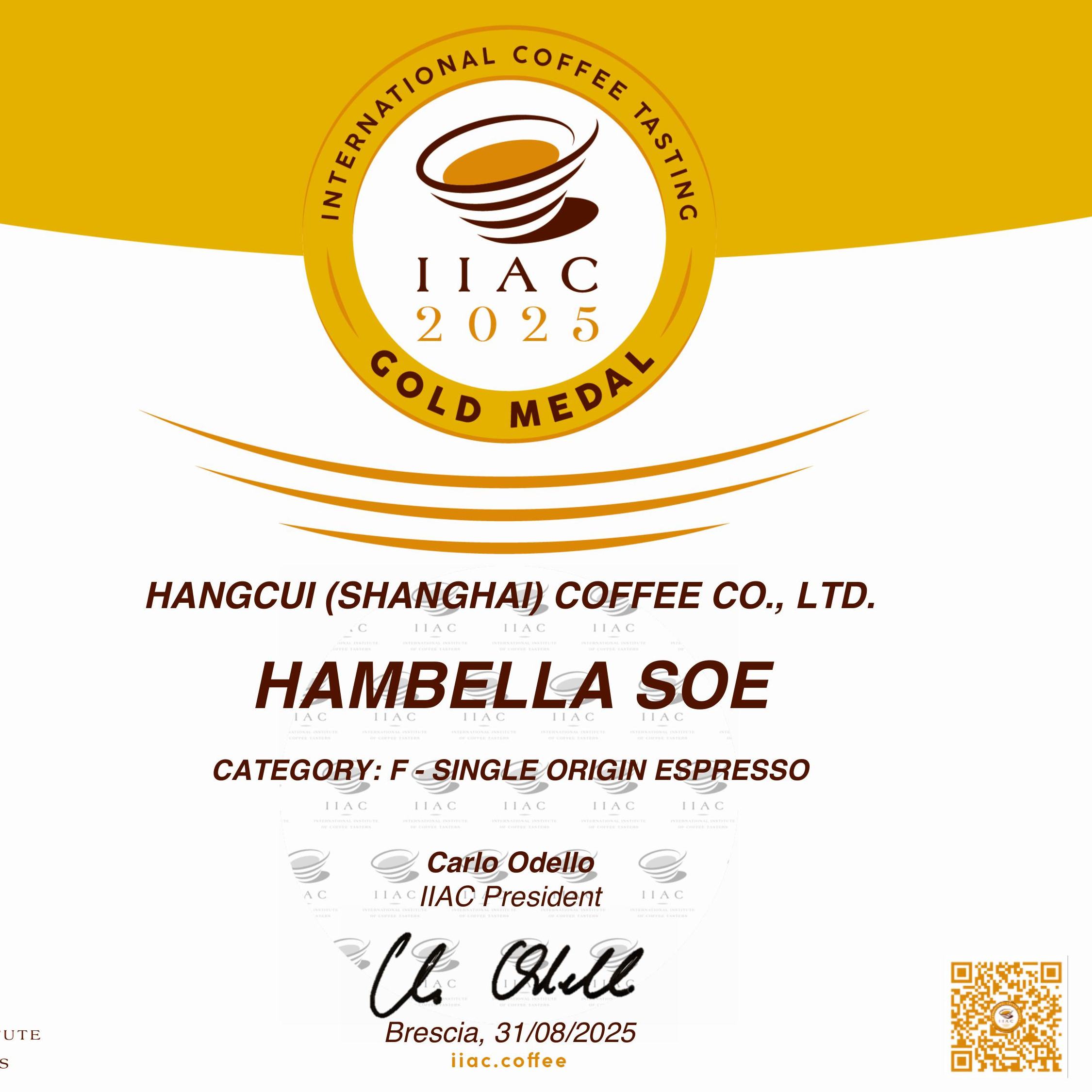 【夯萃】IIAC金奖25产季埃塞花魁9.0手冲冷萃咖啡豆SOE意式ALO - 图2