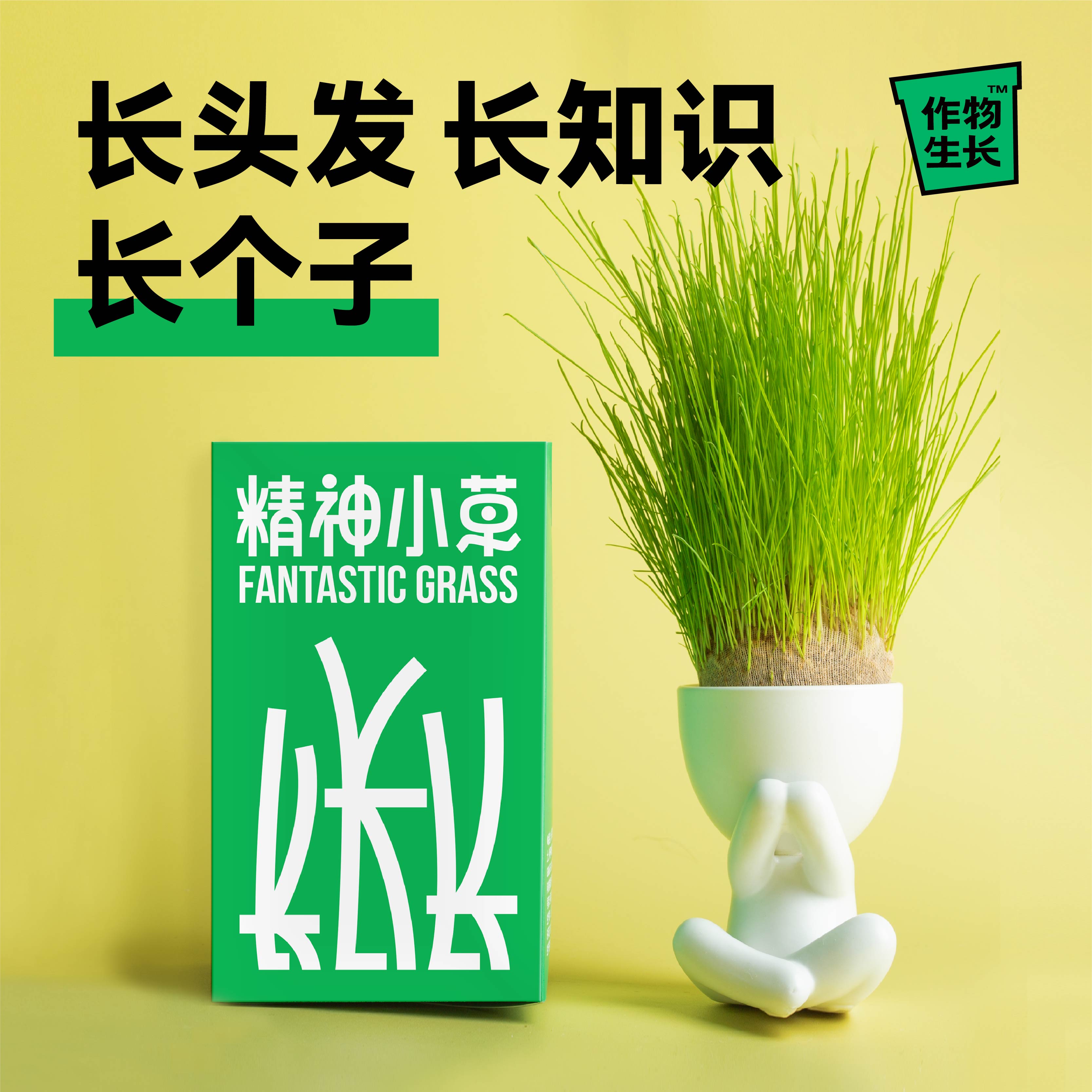 精神小草创意小盆栽办公室可爱植物趣味精神小草儿童种植绿植礼物 - 图1