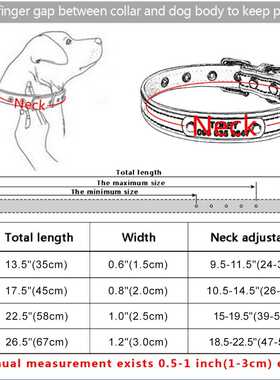 AiruiDog Personalized Leather Dog Collar Free Engraved Name