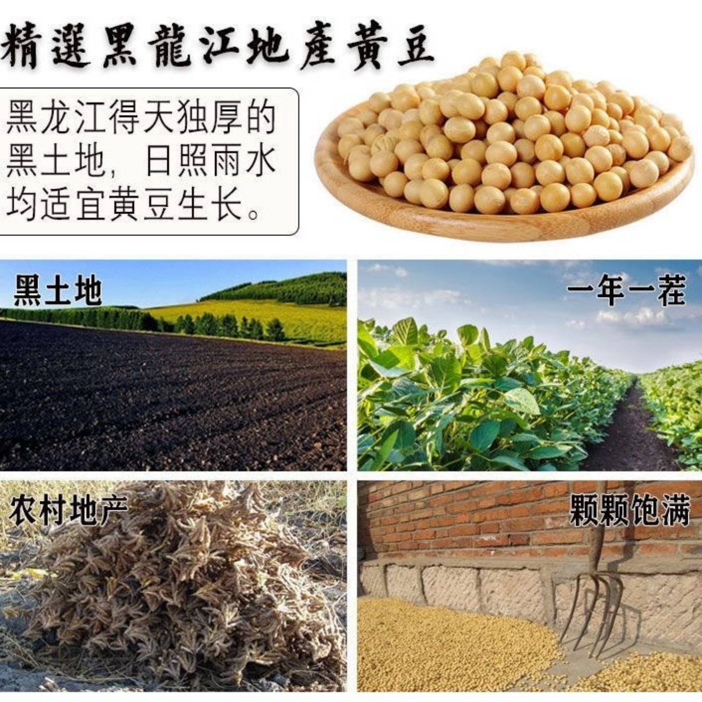 老式10斤东北大豆油纯笨榨5L非转基因食用油散装压榨黄豆油家用油,淘宝优惠券,粉丝福利购,淘宝优惠卷