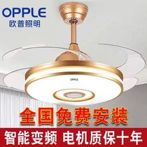Aup Fan Light Invisible Frequency Conversion Silent integrated 48 inch LED Bluetooth Living room Restaurant Bedroom electric fan chandelier