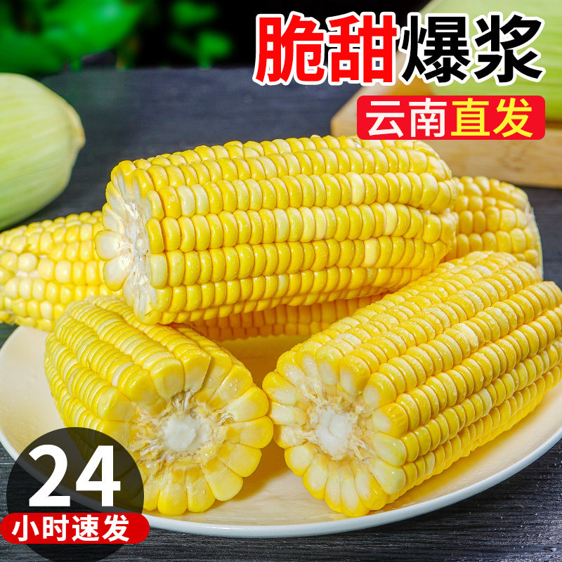 云南现摘水果玉米生吃粘苞谷棒子蔬菜9斤脆甜嫩玉米糯玉米新鲜10,淘宝优惠券,粉丝福利购,淘宝优惠卷