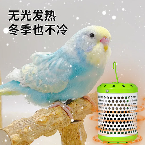 陶瓷保温灯宠物芦丁鸡玄风鹦鹉过冬神器鸟笼养鸡小鸡育雏保温灯 - 图1