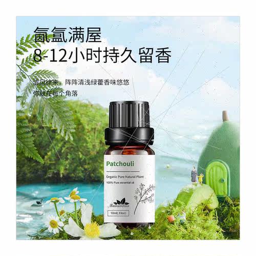 Patchouli Patchouli ngle Essential Oil Plant to remove summe - 图3