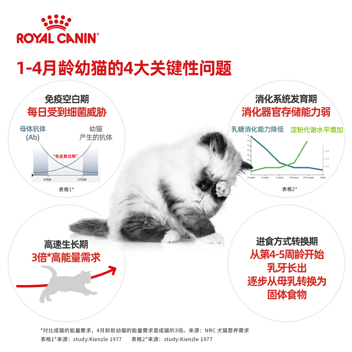 皇家猫粮幼猫专用K36/BK34奶糕2000g孕猫母猫离乳期断奶营养猫粮 - 图0