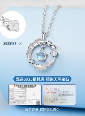 羽你相伴999纯银项炼轻奢高级感2025新款七夕情人节礼物送女朋友