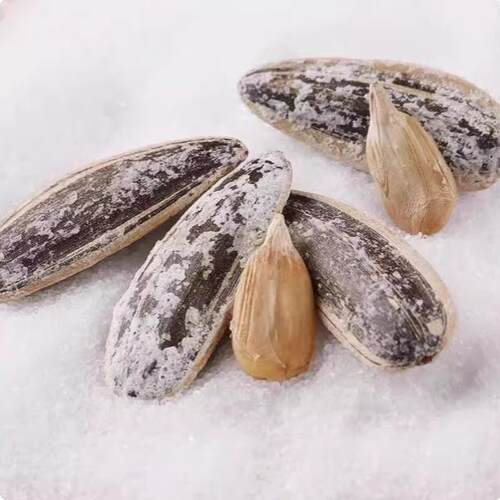 海盐味瓜子500g小包装袋装葵花籽年货网红大颗粒咸味瓜子炒货零食 - 图1