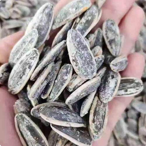 海盐味瓜子500g小包装袋装葵花籽年货网红大颗粒咸味瓜子炒货零食 - 图2