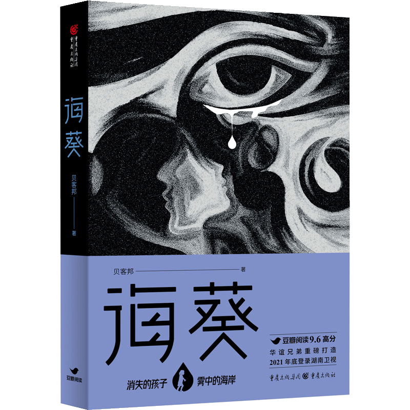 【正品】海葵贝客邦著贝客邦悬疑力作现实的悬疑案件背后隐藏着原生家庭的爱与救赎侦探悬疑推理小说消失的孩子雾中的海岸书籍-图3