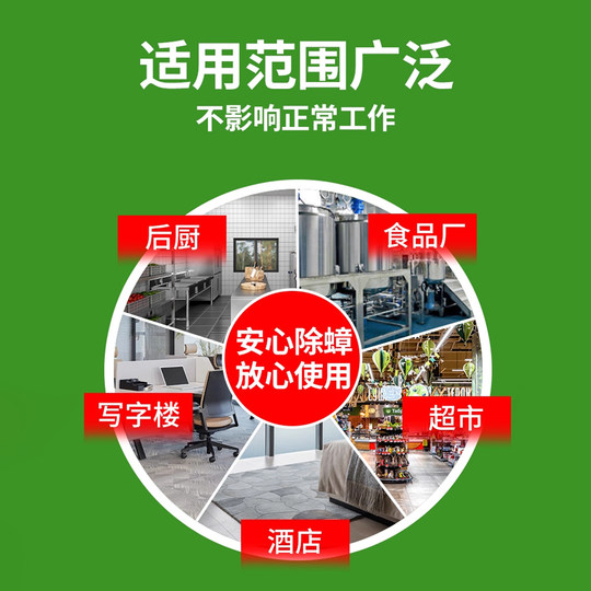 Яйца тараканов целиком