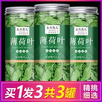 Mint leaves tea freshly edible with a special grade cool bubble water to drink chewy dry mint bulk tea drink