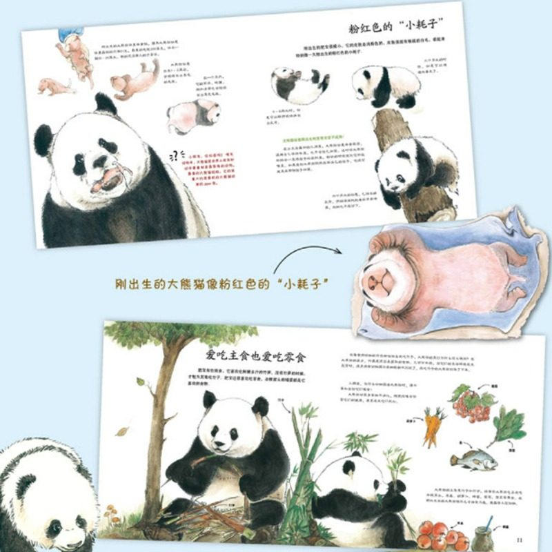 哇！大熊猫精装绘本图画书关于国宝大熊猫的儿童科普图画书让孩子学会用艺术的视角看自然山东科学技术出版社正版童书,淘宝优惠券,粉丝福利购,淘宝优惠卷