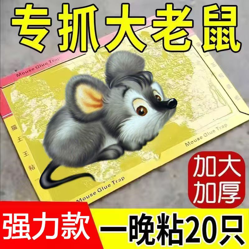 图3