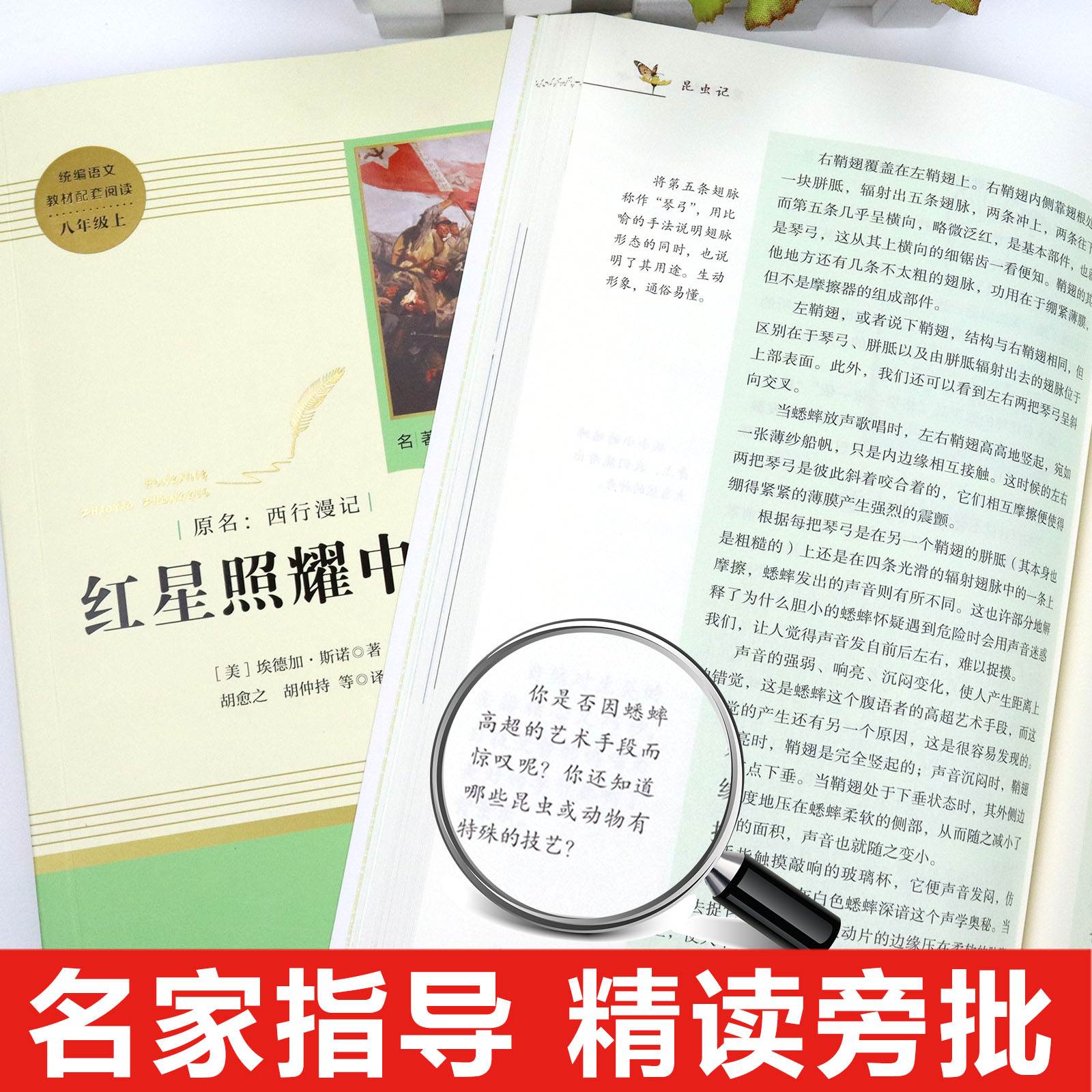 钢铁是怎样炼成的傅雷家书原著正版人教版人民教育出版社初中八年级必读课外书下册初二8文学名著阅读书籍红星照耀中国和昆虫记-图1