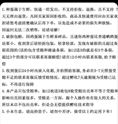 宠物鸡芦丁受精蛋可孵化种蛋德系礼服纯白观赏家养鸡受精孵化种蛋