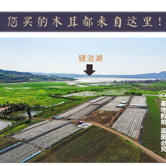 东北肉厚500g干秋木耳 果域风光黑木耳