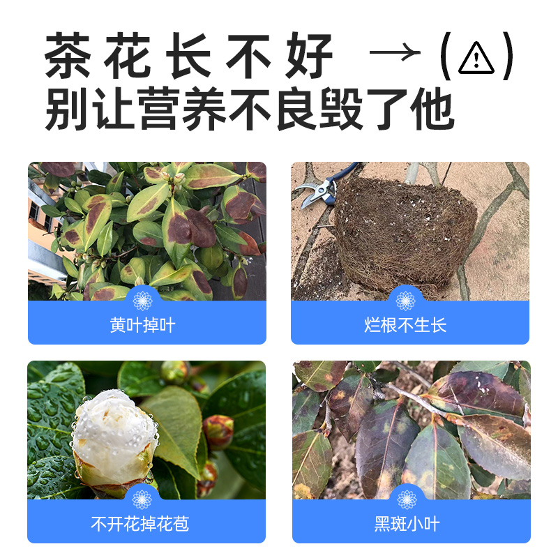 花草博士茶花专用营养液喜酸植物通用肥料防治黄叶促开花调节土壤