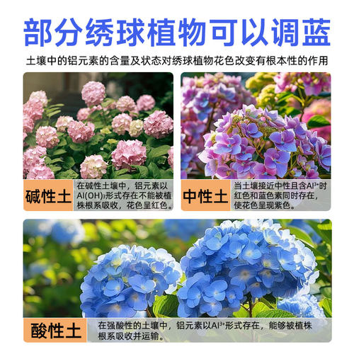 绣球营养液专用调蓝剂促开花调色家用盆栽四季开花花卉肥料硫酸铝 - 图1