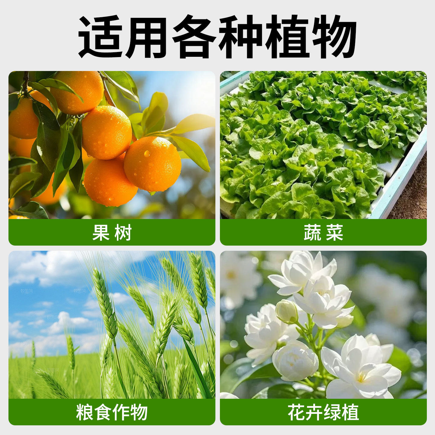 一包搞定叶面肥农药蔬菜复合肥料养花用水溶性果树钙硼肥植物通用,淘宝优惠券,粉丝福利购,淘宝优惠卷