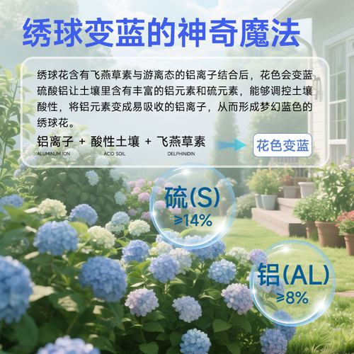 绣球营养液专用调蓝剂促开花调色家用盆栽四季开花花卉肥料硫酸铝 - 图2