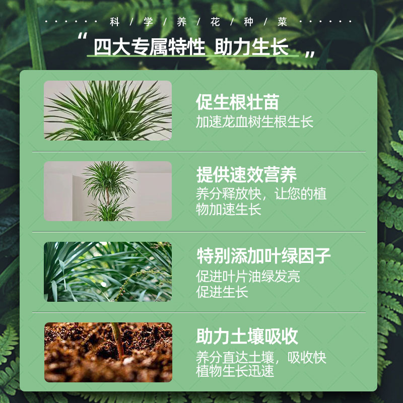 花草博士龙血树专用营养液盆栽室内绿植花肥防治黄叶倒伏通用肥料 - 图3