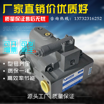 Japan Tokyo Scooters P21V-RS-11-CC-10-J East Machinery Beauty Conservancy Machinery High Pressure Plunger Pump