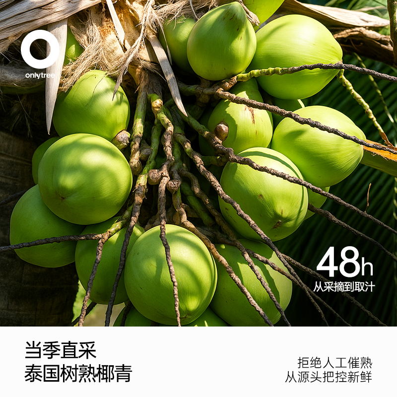 onlytree100%椰子水NFC0脂官方旗舰店椰汁水无添加电解质果汁饮料,淘宝优惠券,粉丝福利购,淘宝优惠卷