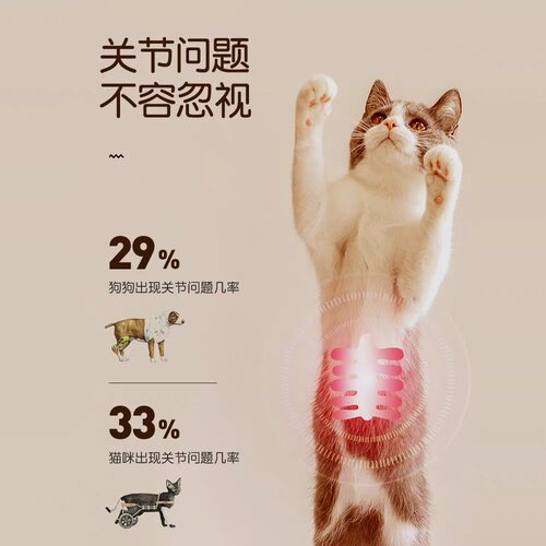 梅香片膝髋胯宝狗猫泰迪髌骨脱位髋关节发育不良狗骨折爱固宝健 - 图2