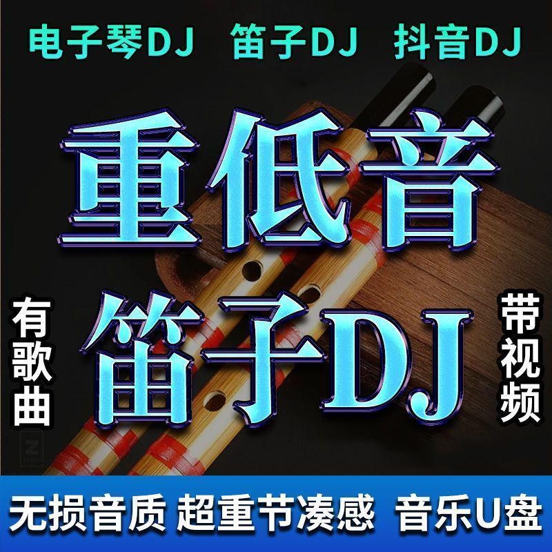 纯音乐车载u盘电子琴迪音架子鼓dj合奏曲抖音同款重低音伴奏优盘 - 图1