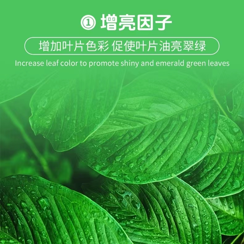 植物营养液通用型黄叶一喷绿花肥黄叶变绿叶面肥营养液通用养花绿 - 图2