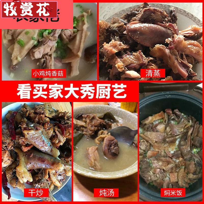 风干咸鸡整只包邮 风干鸡农家自制江苏安徽特产腌制散养土鸡腊鸡 - 图1