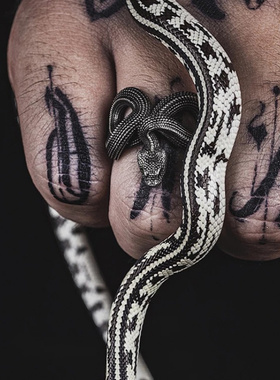 新品新款蛇戒指十二生肖蛇手工男