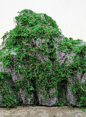 仿真石头定制造景泡雕模型雪浪石雕塑景观摆件人造石泡沫石头假山