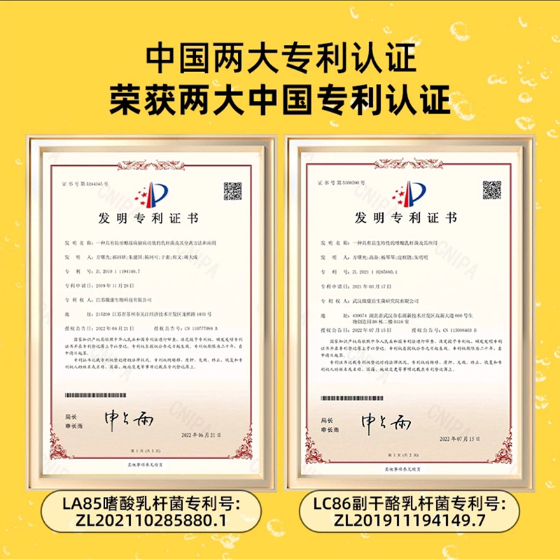地球乐园口腔益生菌含片口气清新口香炮弹社交益生元新