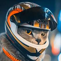 Dog helmet locomotive cap pet safety helmet kitty hat head decoration motorcycle retro small armor body handsome mini