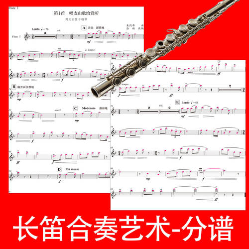 现货正版 长笛合奏艺术音乐书籍长笛合奏理论实践演奏艺术起源与发展延伸编配特点 合奏作品集 乐团演奏技法训练 涂琳编著 - 图0