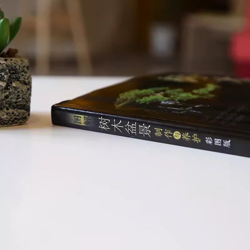 图解树木盆景制作与养护（彩图版） 树木盆景书籍盆景制作树木造型书籍彩图新手入门零基础盆景制作教材 大全家庭盆景养护欣赏书 - 图1