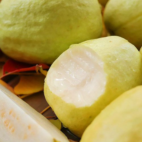 顺丰包邮广东奶油白心芭乐新鲜番石榴当季水果出口品质软糯香甜5 - 图2