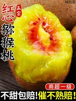 Sichuan Zhengzong Red Heart goosebumps 30 kiwifruits Phujiang Fruit Fresh Fresh Whole Boxes of the Season Mass