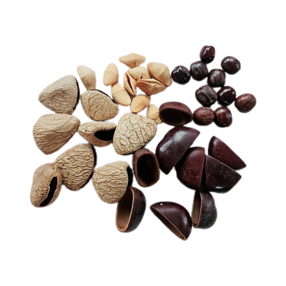 天然果壳diy材料包植物果壳摇铃手工制作挂件风铃串珠黑果水铃铜,淘宝优惠券,粉丝福利购,淘宝优惠卷