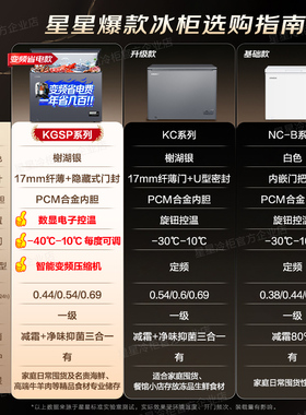 全网热销！星星爆款200升大冰柜