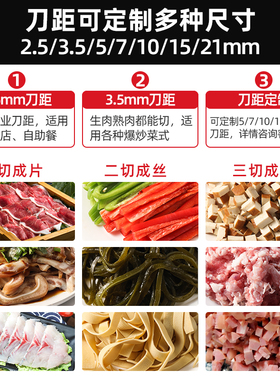 德国进口切肉机商用电动切丝切鲜肉片机切丁全自动切菜绞肉切块不