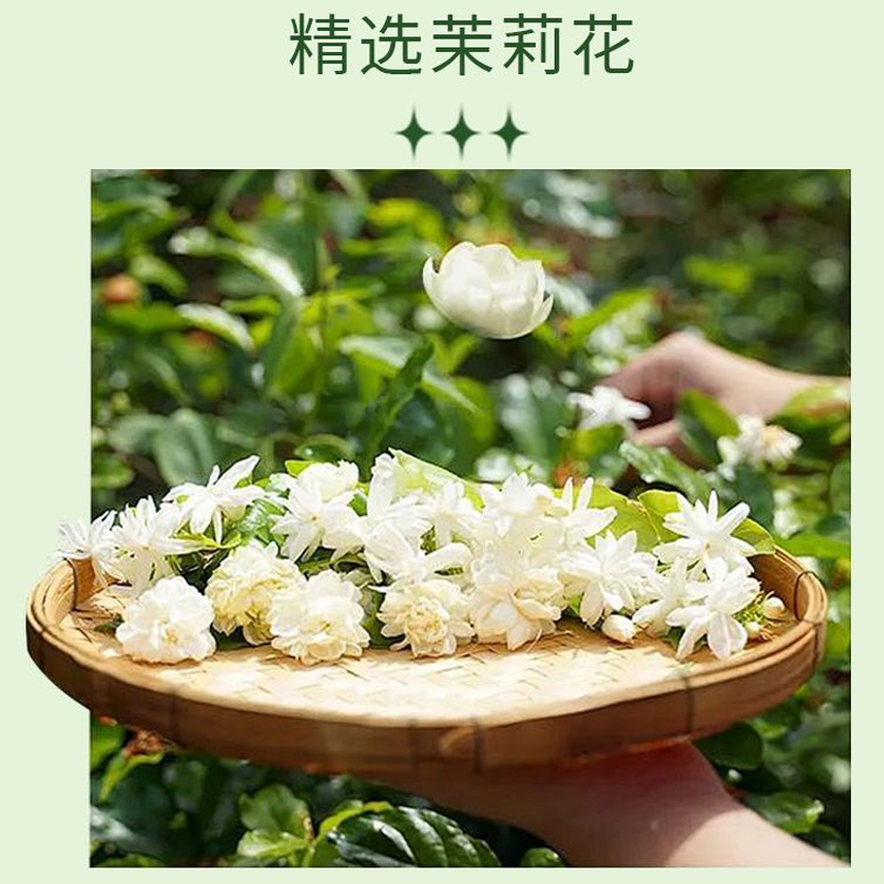 茉莉雪芽奶茶0添加蔗糖0反式茉莉绝弦轻乳茶茶姬伯牙平替冲泡速溶