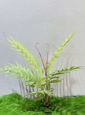 仿真蕨类植物金丝猴蕨大波斯蕨叶软胶大把束绿植造景景观家居装饰